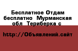 Бесплатное Отдам бесплатно. Мурманская обл.,Териберка с.